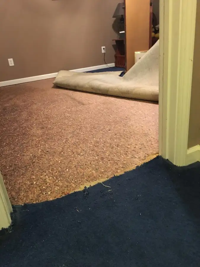Carpet pad removal revealing water damage during Drying & Dehumidification in Wilkes-Barre