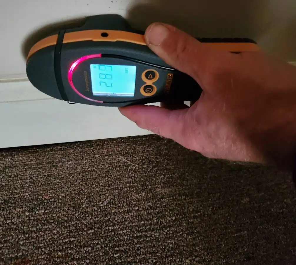 Moisture detection at baseboard during Sewage Cleanup & Sanitation in Wilkes-Barre